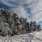 Winterpaziergang auf der Wasserkuppe