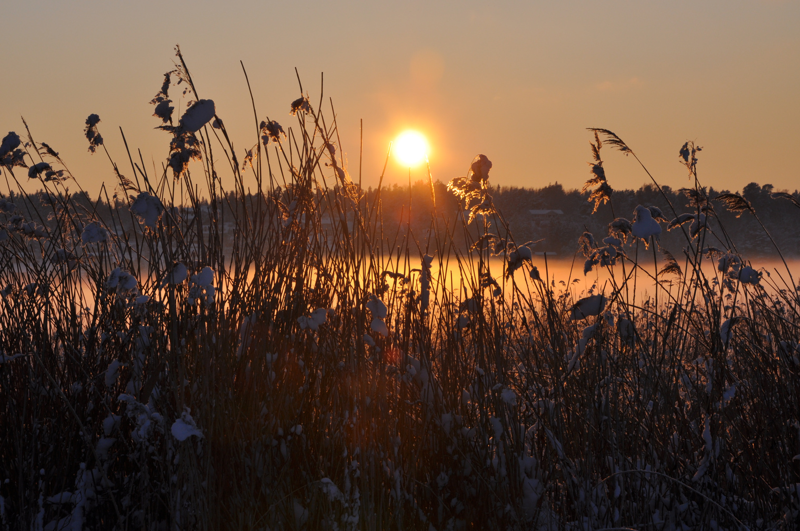 Winterperspektive