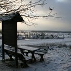 Winterpicknick gefällig?