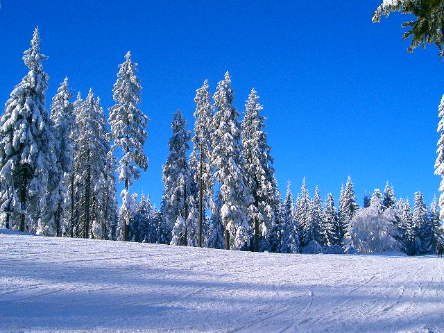 Winterpiste