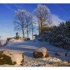 Winterpracht an der Sparrenburg...