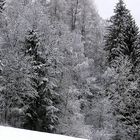 winter_pur