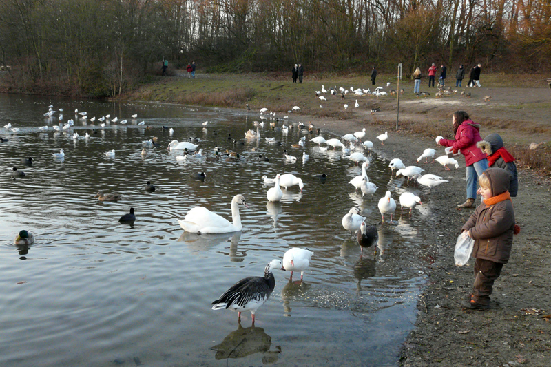 Winterquartier am Jröne Märken in Neuss