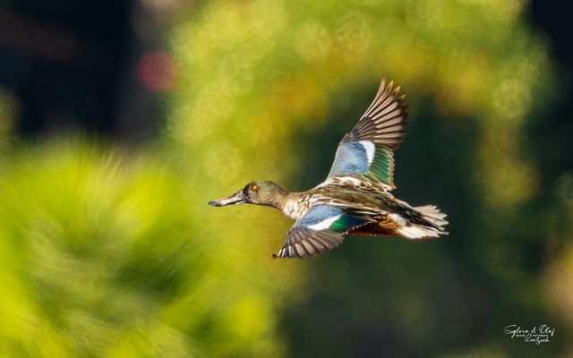 °°_Winterquartier_°°