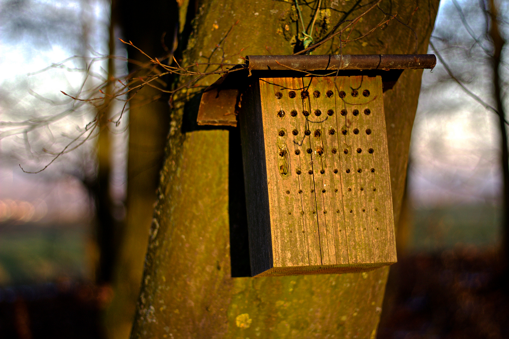 Winterquartier für fleißige Insekten