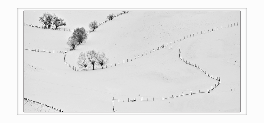 winterr traces