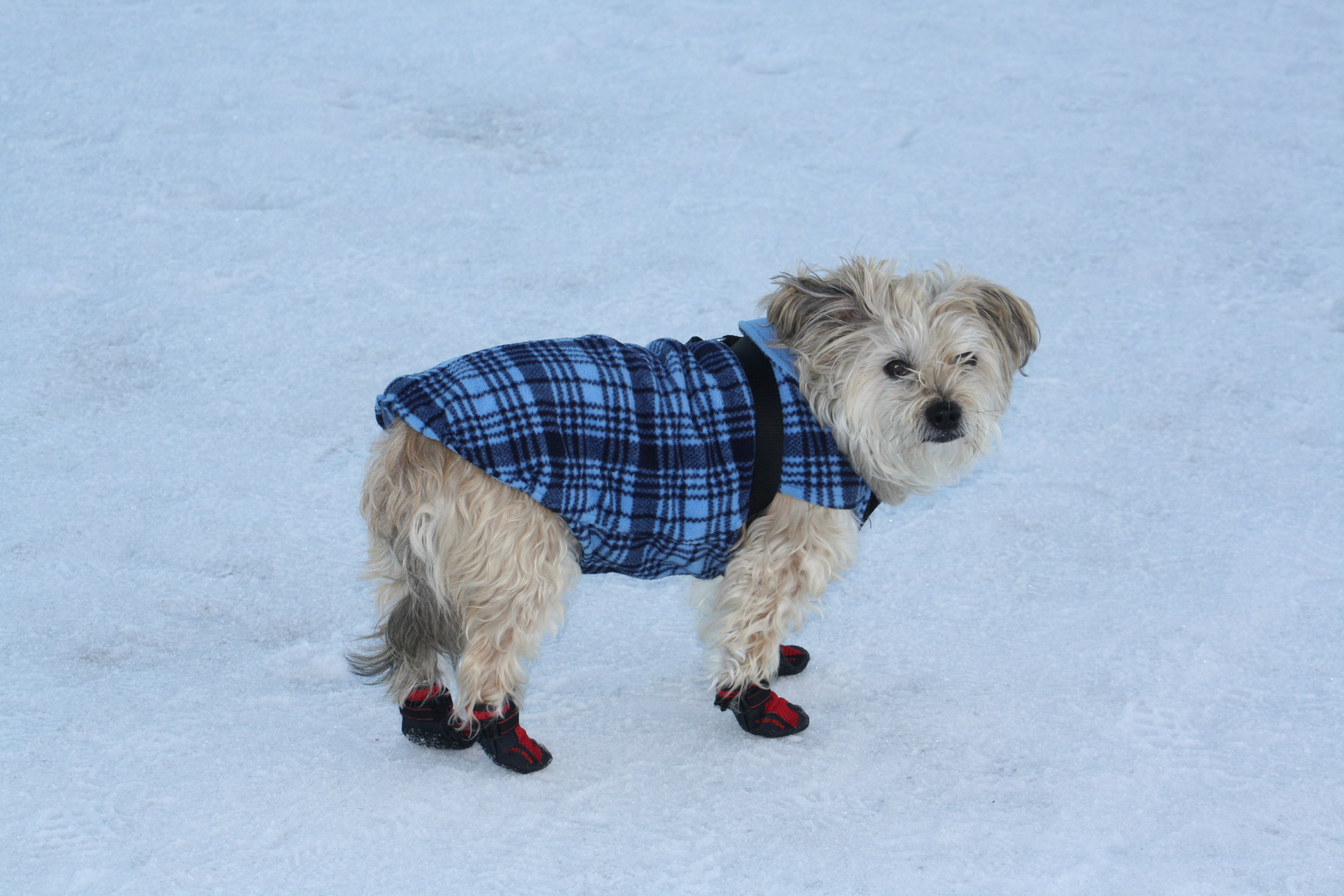 Winterreifen sind jetzt Pflicht !!!!