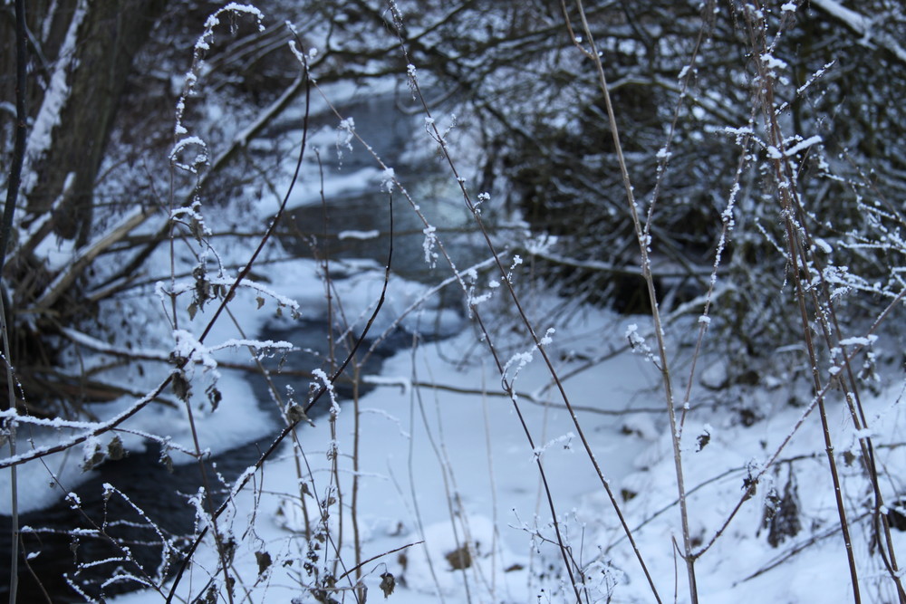 Winterreise durchs Eschweilertal Teil2