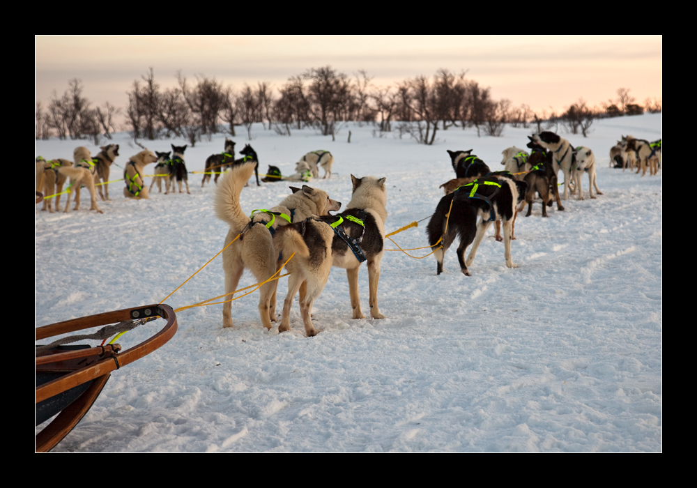 Winterreise Norwegen - 49