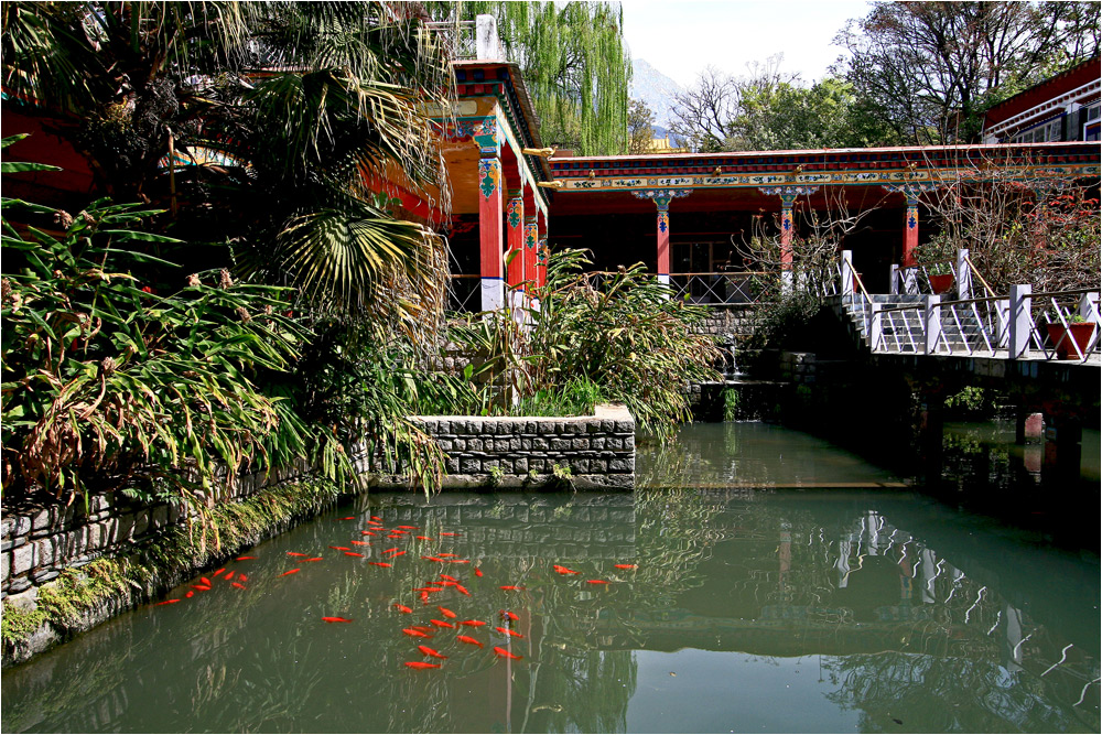 Winterresidenz des Dalai Lama in Lower Dharamsala