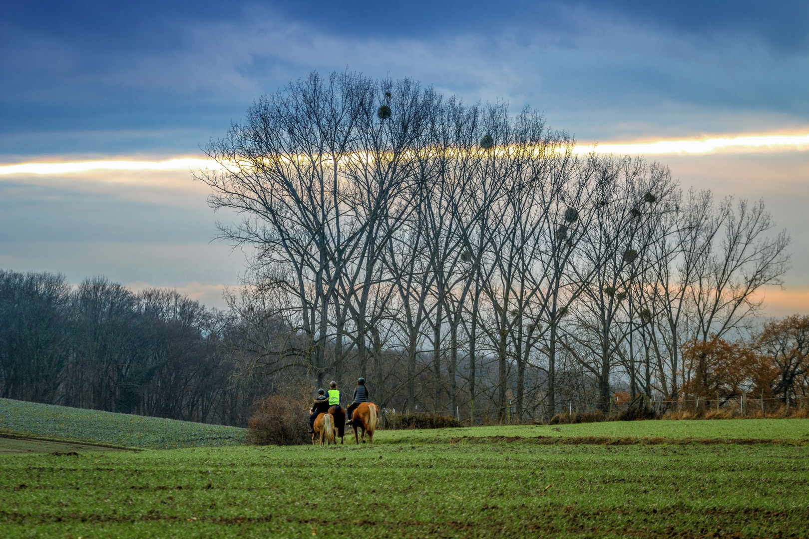 Winterritt