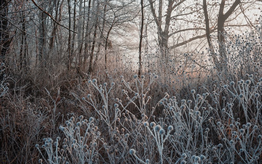 Winterromantik