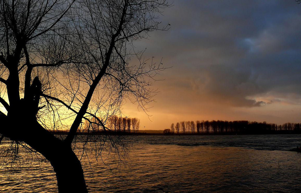 Winterromantik am Rhein (2)