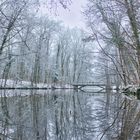 Winterromantik nach dem Neuschnee