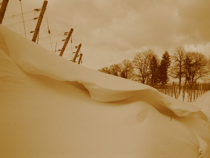 Winterrückblick 2005 / 06