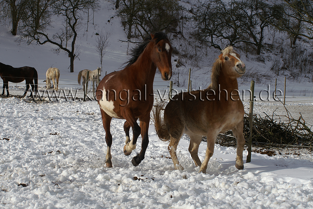 Winterrückblick