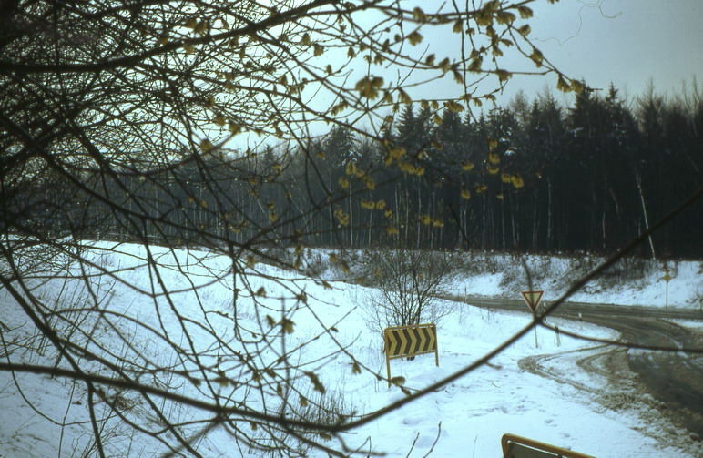 Winterrückfall April 1972, erste Blüten II