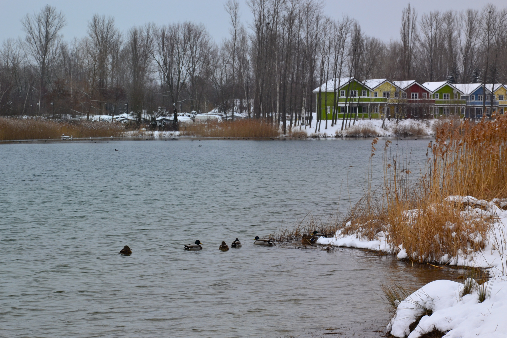 Winterrückkehr…