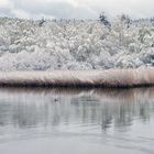 Winterrückkehr - April 2016