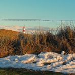 Winterrückzugsgebiet im hohen Norden