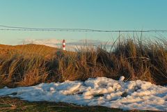 Winterrückzugsgebiet im hohen Norden