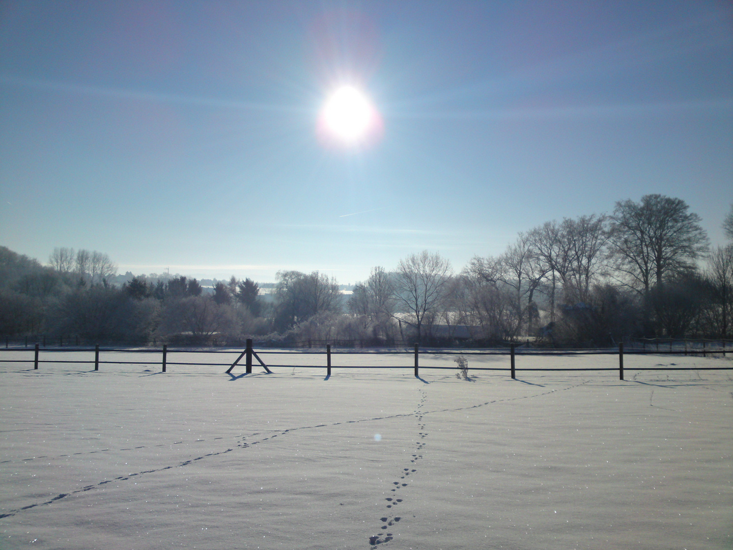 Winterruh über der Koppel