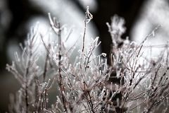 ... Winterruhe ...