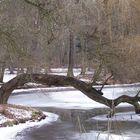 Winterruhe