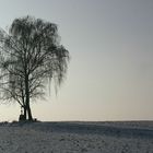 Winterruhe