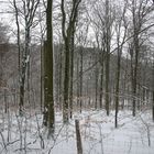 Winterruhe