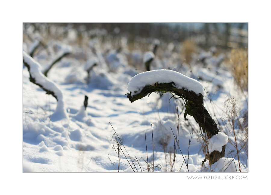 WinterRuhe