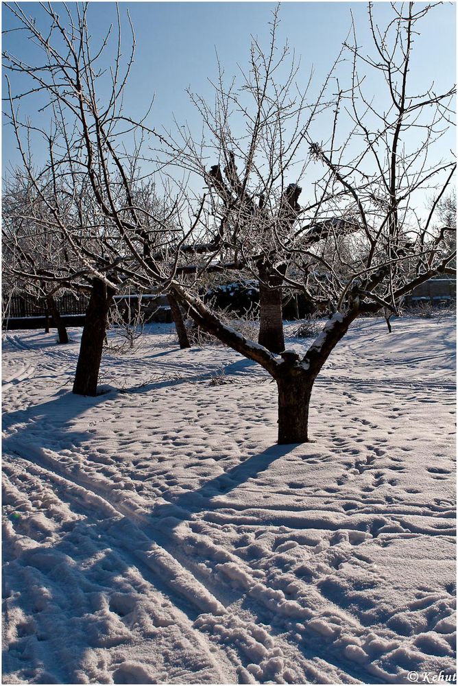 Winterruhe