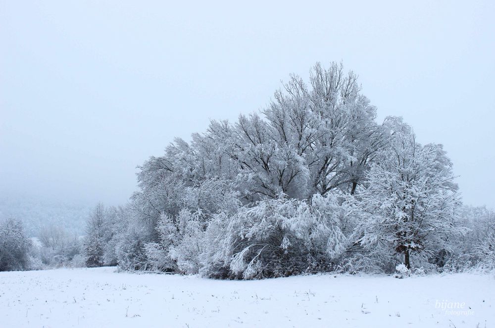 Winterruhe