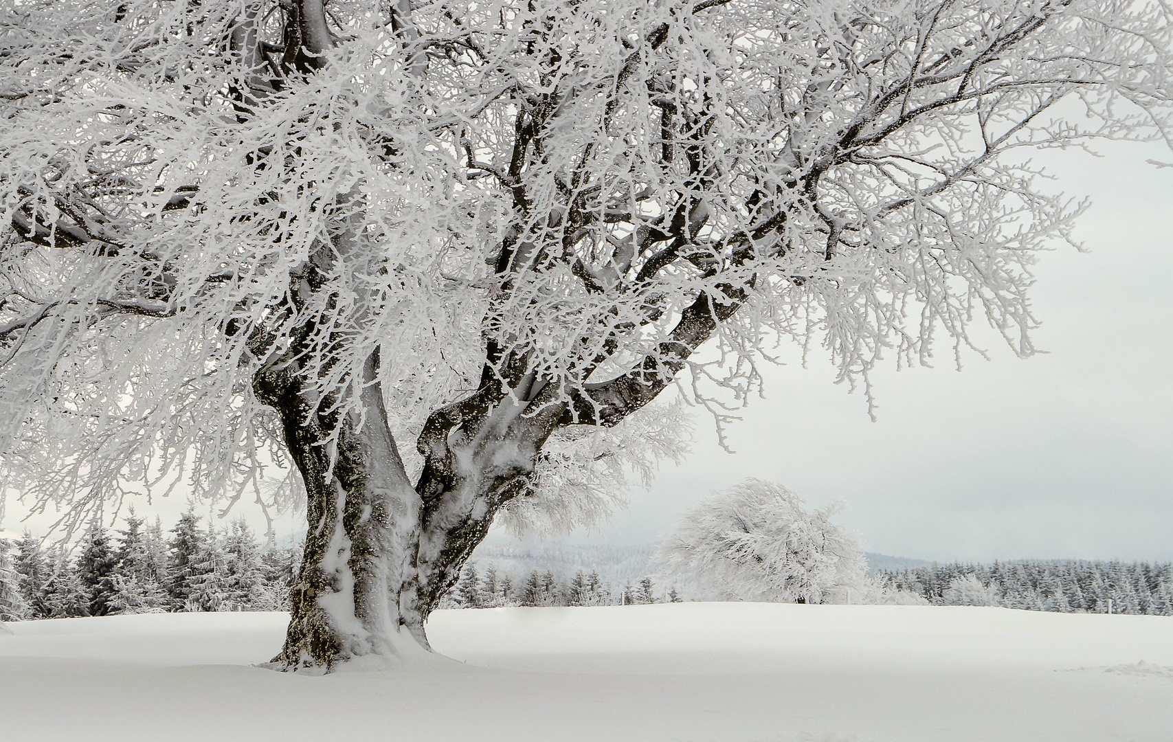 Winterruhe