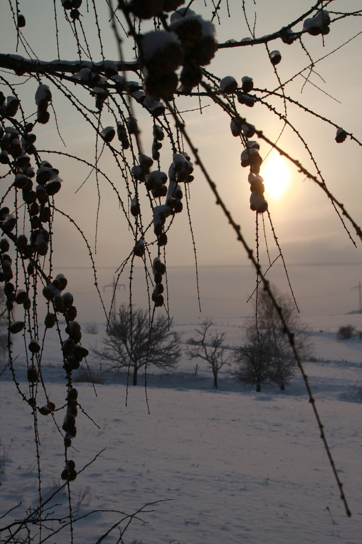 Winterruhe