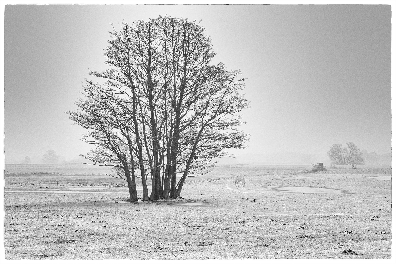 Winterruhe