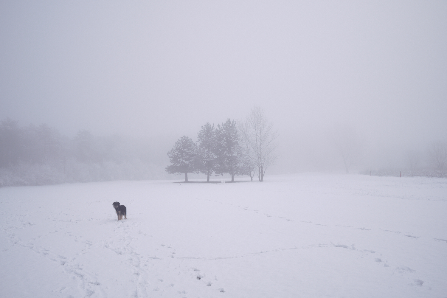 Winterruhe