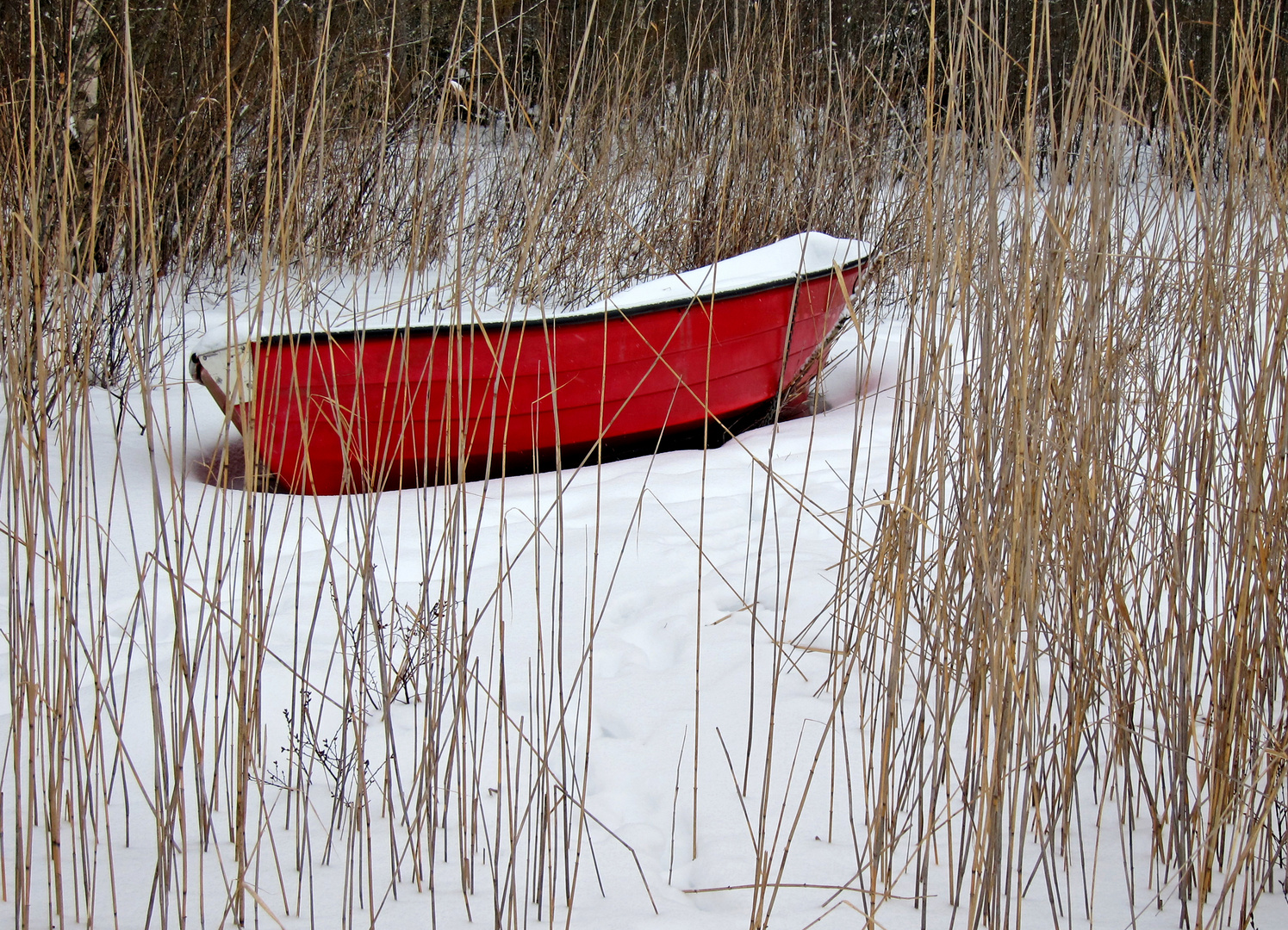 Winterruhe