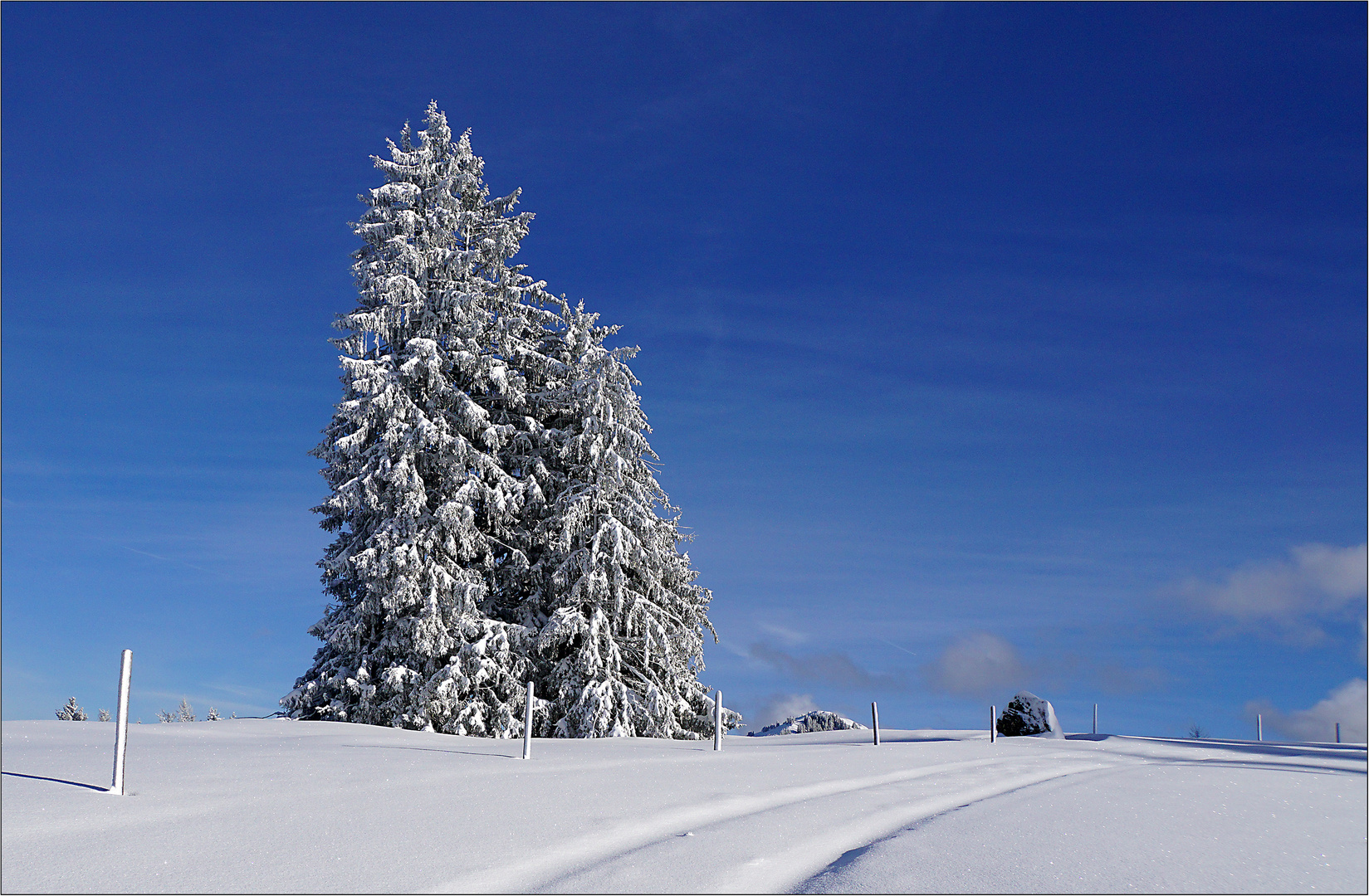 Winterruhe