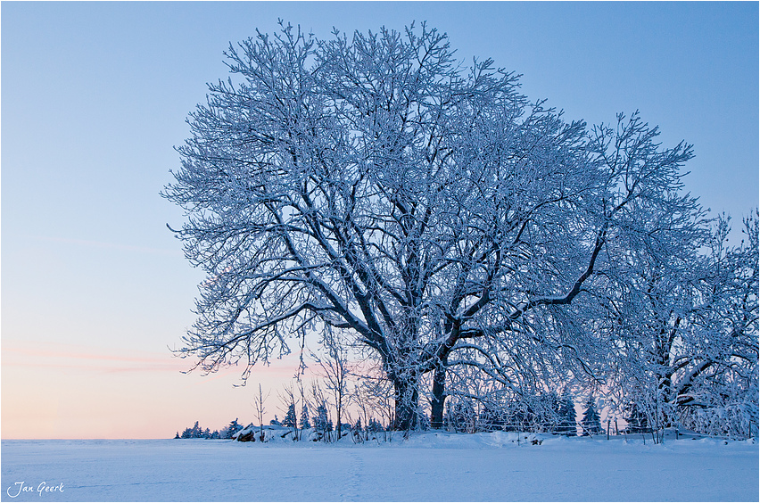 Winterruhe