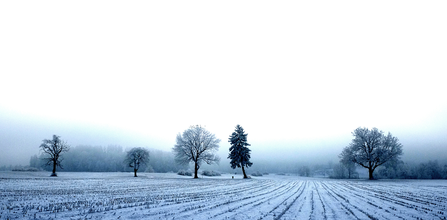 Winterruhe