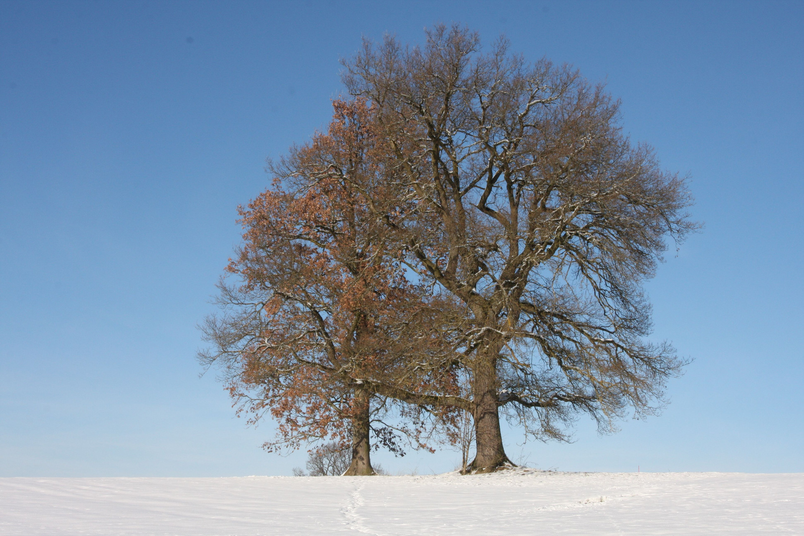 Winterruhe