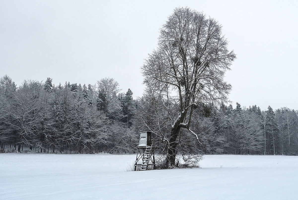 Winterruhe