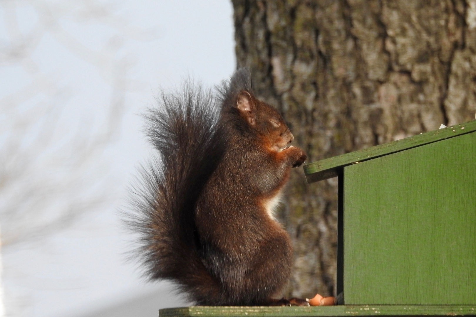 Winterruhe