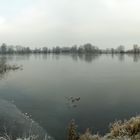 Winterruhe am Angelsee.