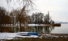 Winterruhe am Bodensee I