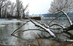 Winterruhe am Bodensee II