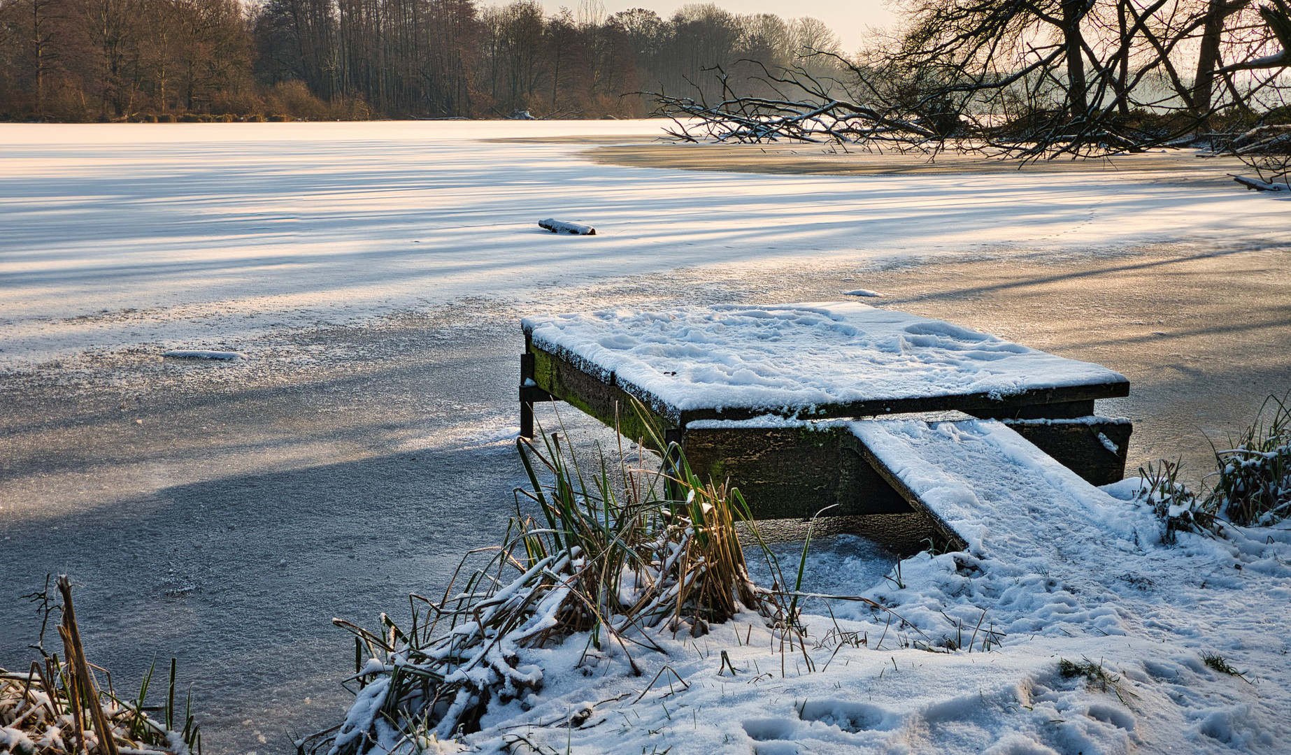 Winterruhe am De Wittsee