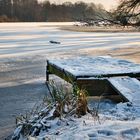 Winterruhe am De Wittsee