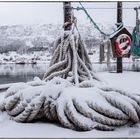 Winterruhe am Hafen